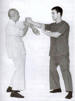 Ip Man