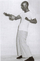 Yip Man 