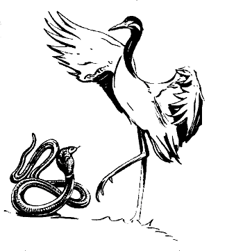 Serpent Grue Serpent Grue